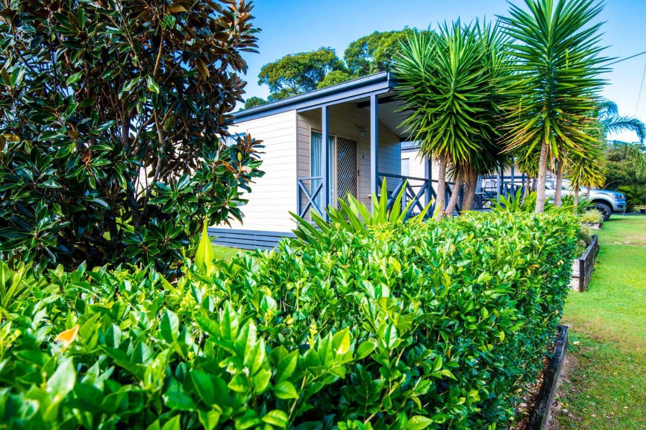 Clarence Head Caravan Park イルカ エクステリア 写真
